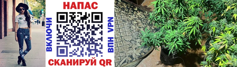 Купить наркотики цена Кизилюрт A-PVP  COCAIN  Героин  Бошки Шишки  ГАШИШ  Мефедрон 