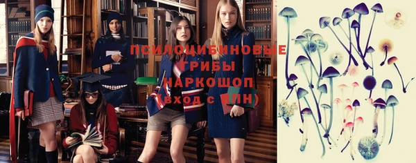 крисы Покров