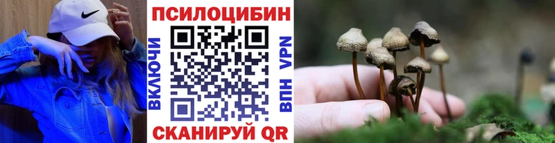 Галлюциногенные грибы Magic Shrooms Кизилюрт